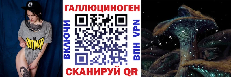 Галлюциногенные грибы MAGIC MUSHROOMS  Купить закладки  Знаменск 
